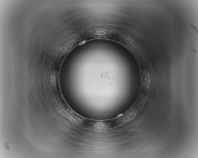 X0000100850562200806201217