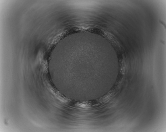X0000100850563200806201217