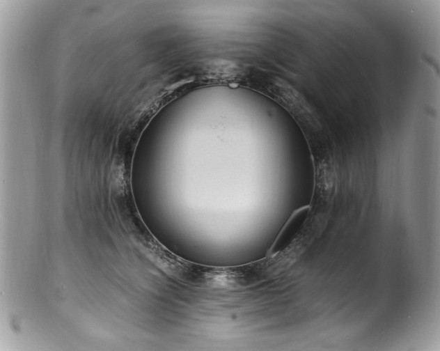 X0000100850564200806201217