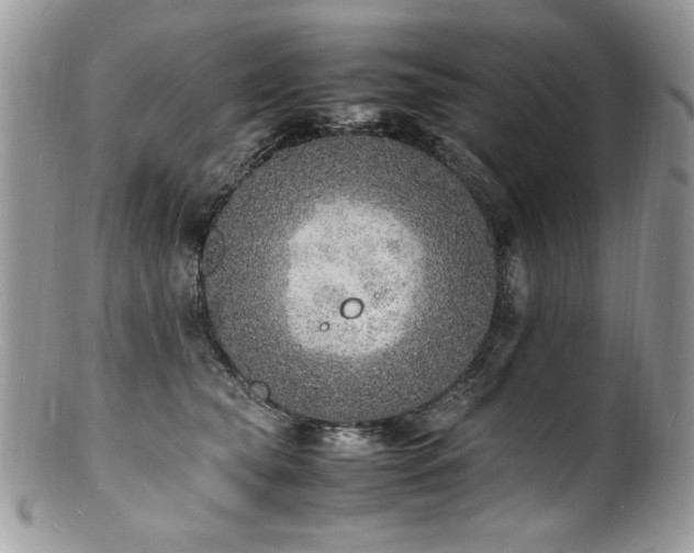 X0000100850565200806201217