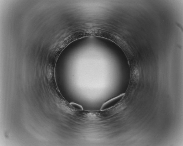 X0000100850566200806201217