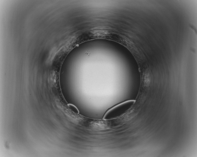 X0000100850567200806201217