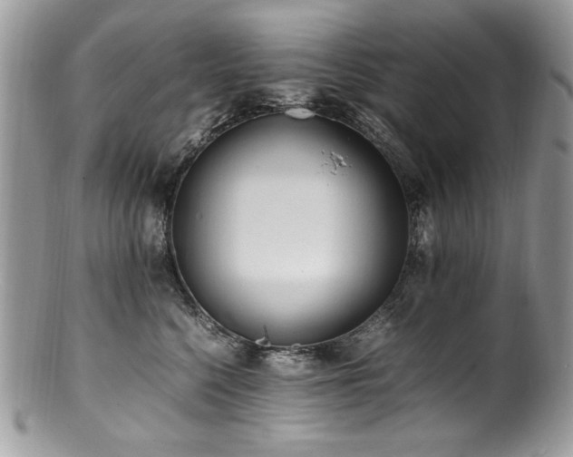X0000100850568200806201217