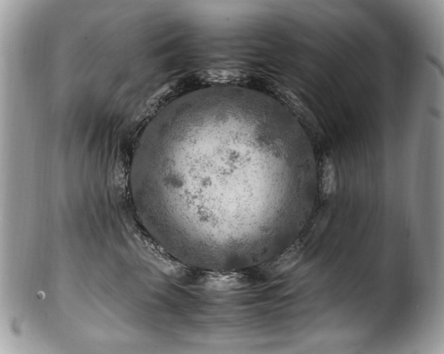 X0000100850569200806201217