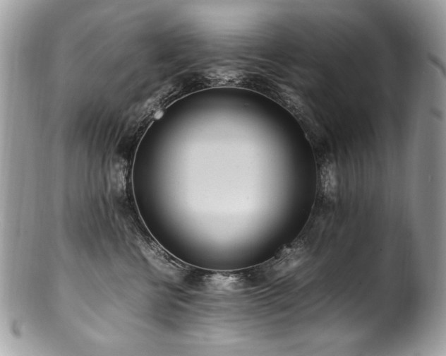 X0000100850570200806201217