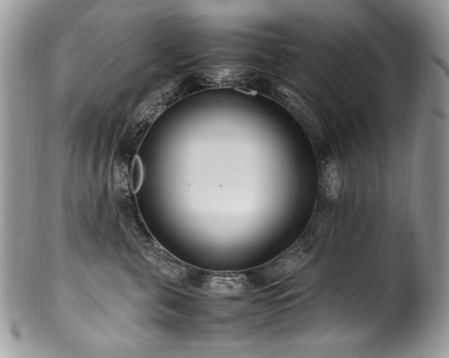 X0000100850571200806201217