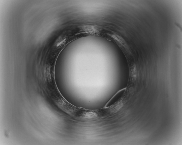 X0000100850572200806201217
