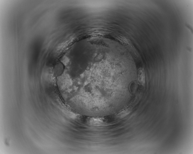 X0000100850573200806201217