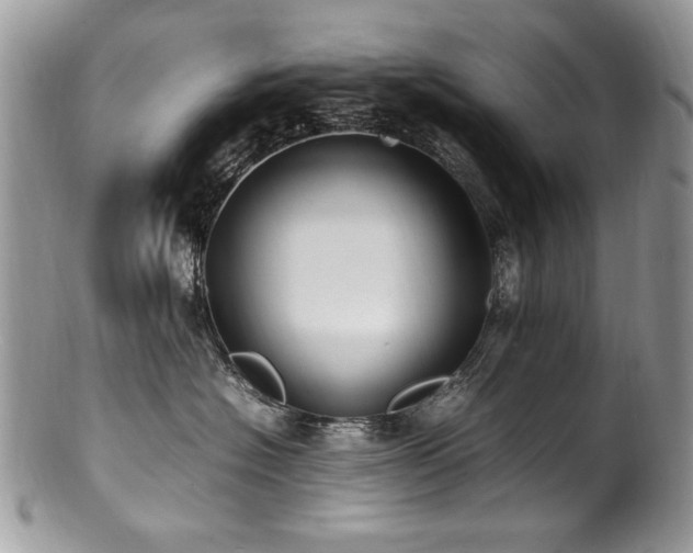X0000100850574200806201217