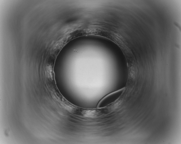 X0000100850575200806201217