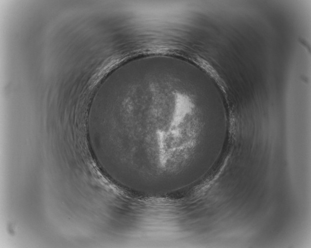 X0000100850577200806201216