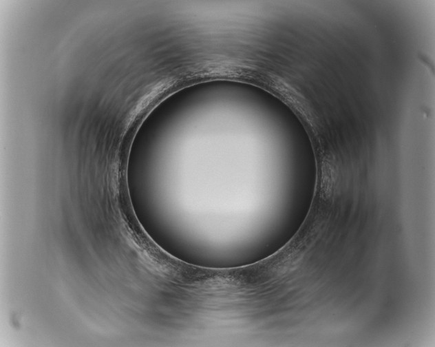 X0000100850578200806201216