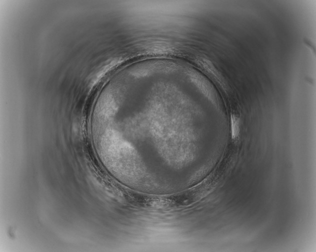 X0000100850579200806201216