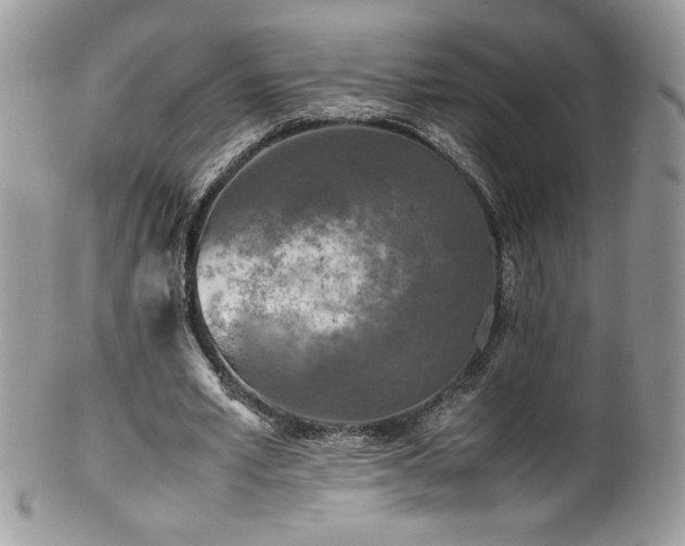 X0000100850581200806201216