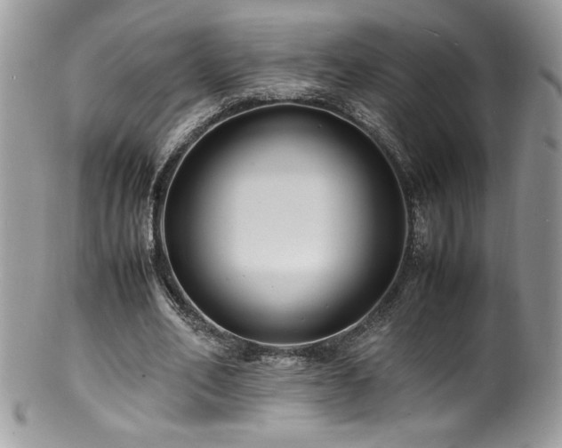 X0000100850582200806201216