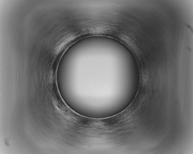 X0000100850583200806201216