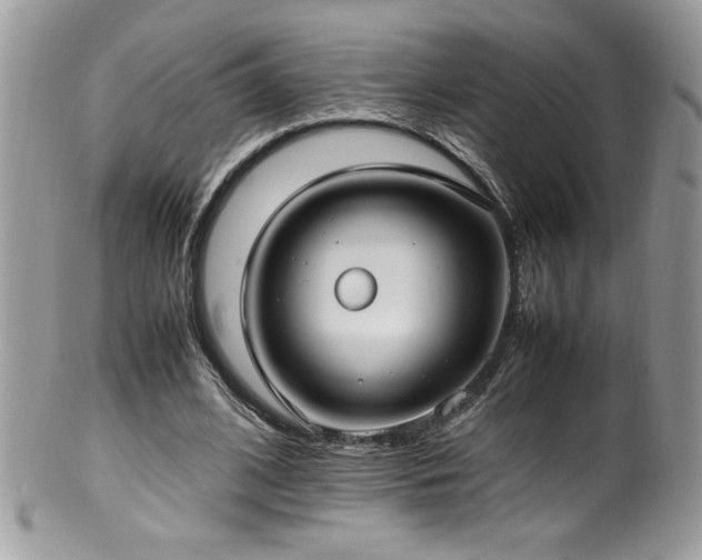 X0000100850584200806201216
