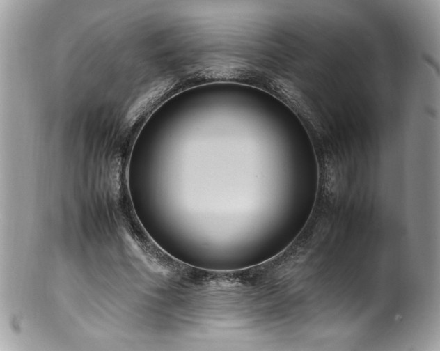 X0000100850586200806201216