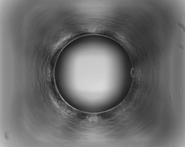 X0000100850587200806201216