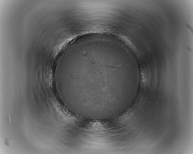 X0000100850588200806201216