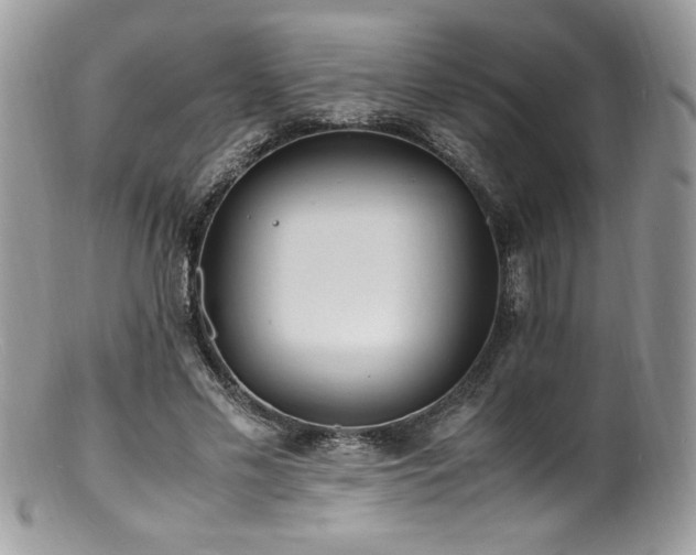 X0000100850589200806201216