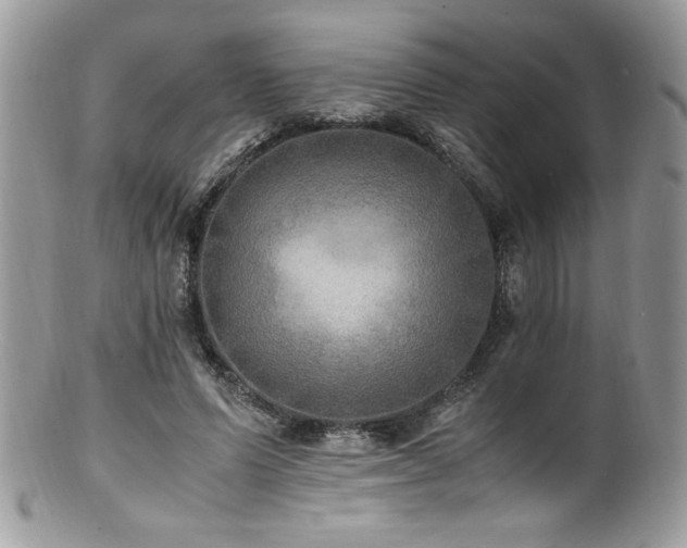 X0000100850591200806201216