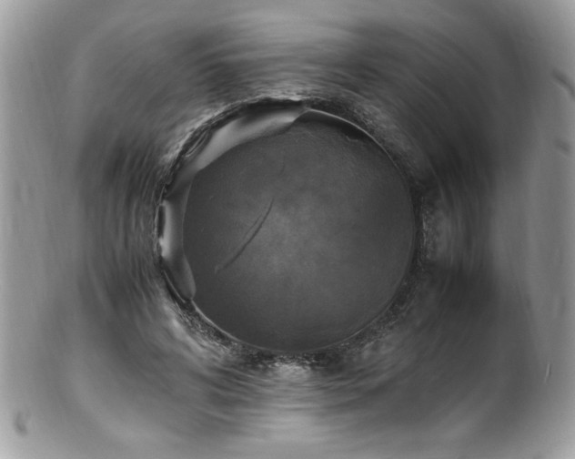 X0000100850592200806201216