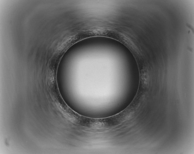 X0000100850593200806201216