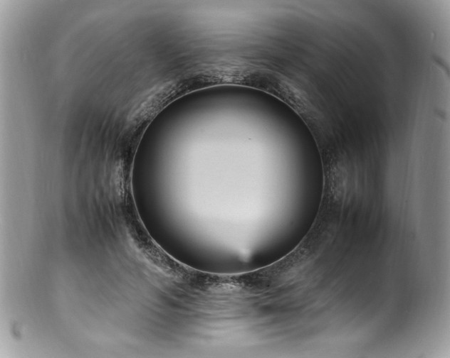 X0000100850594200806201216