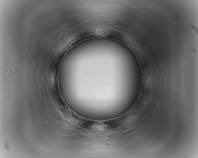 X0000100850595200806201216