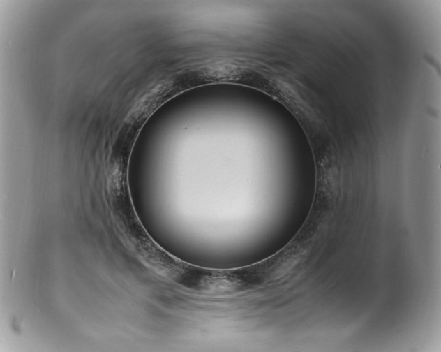 X0000100850597200806201216