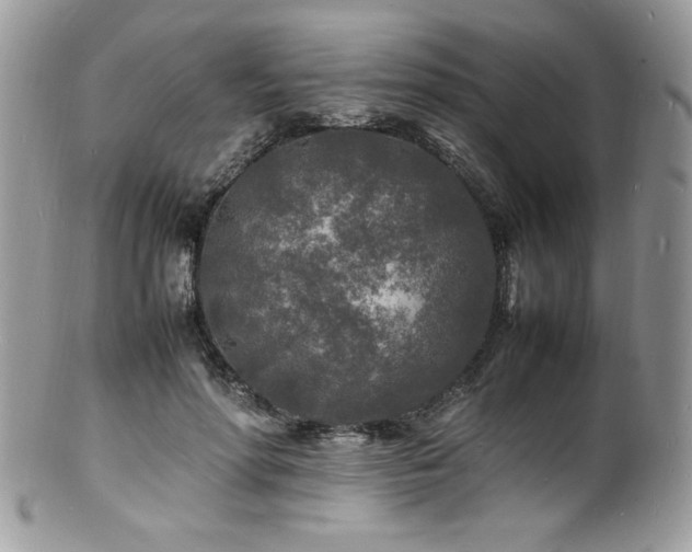 X0000100850598200806201216
