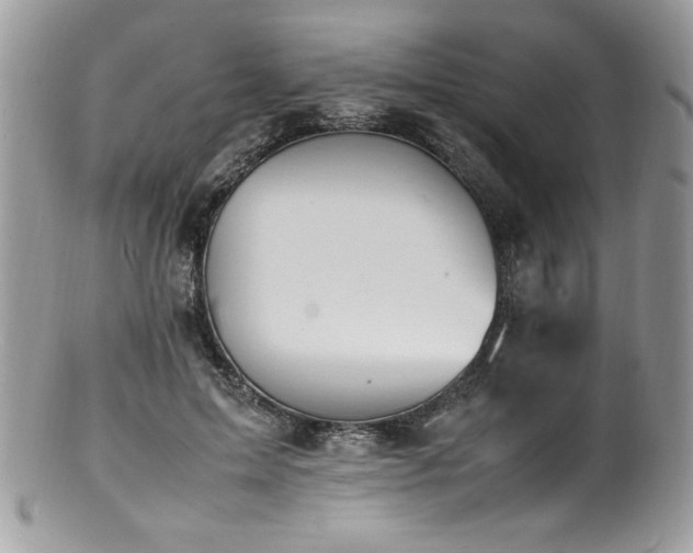 X0000100850599200806201216