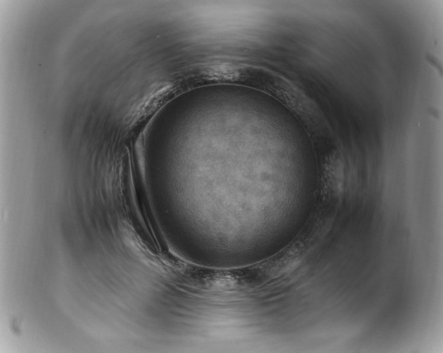 X0000100850600200806201216
