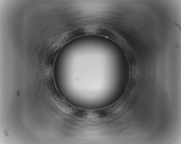X0000100850601200806201216