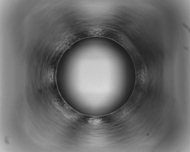 X0000100850602200806201216