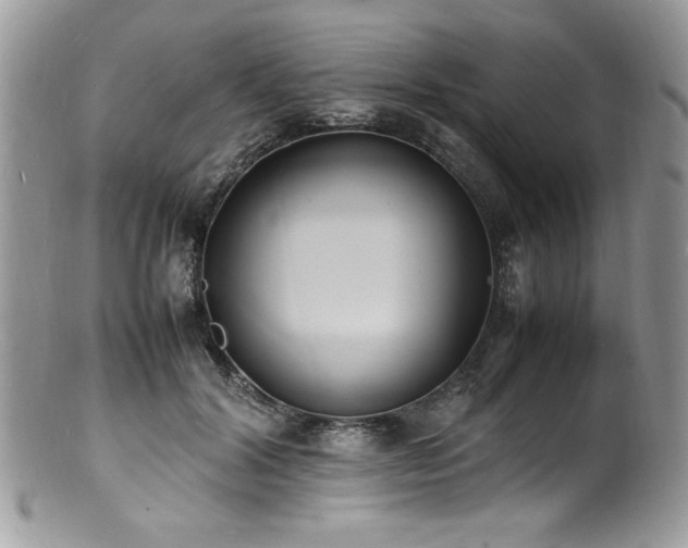 X0000100850604200806201216