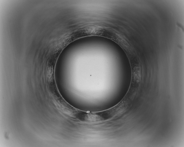 X0000100850605200806201216