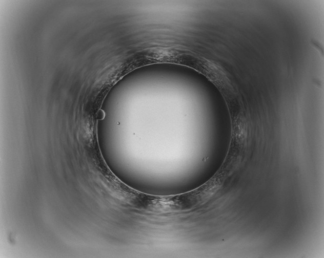 X0000100850607200806201216