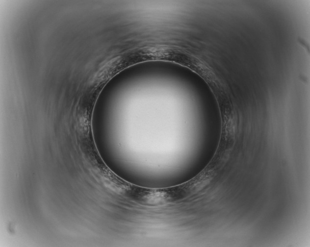 X0000100850609200806201216