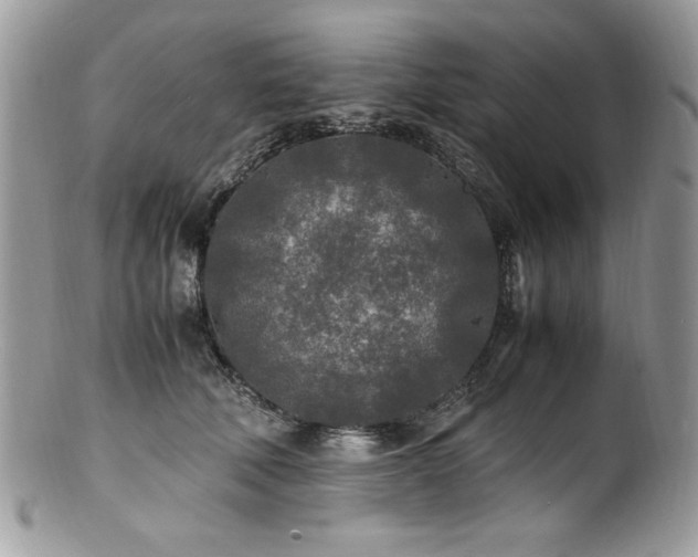 X0000100850610200806201216