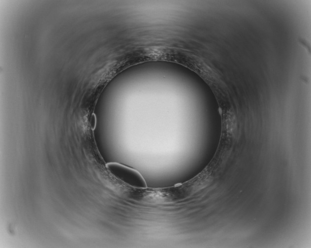 X0000100850611200806201216