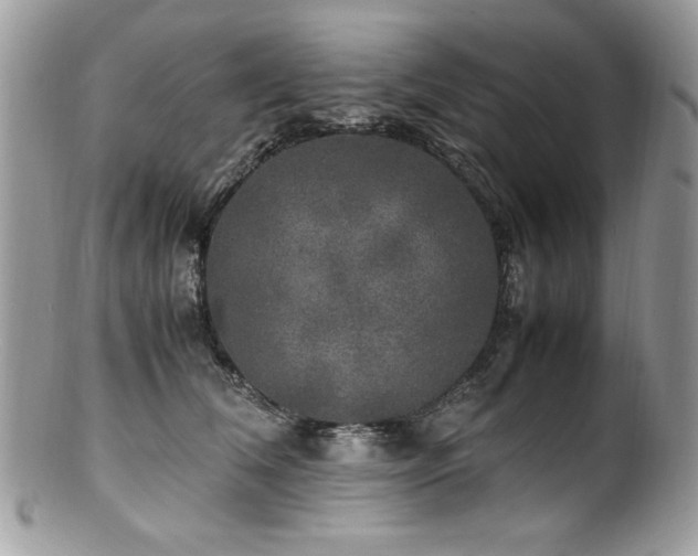X0000100850612200806201216