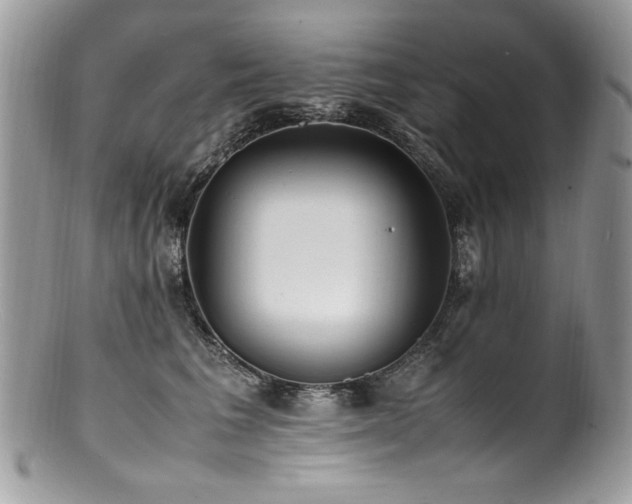 X0000100850613200806201216