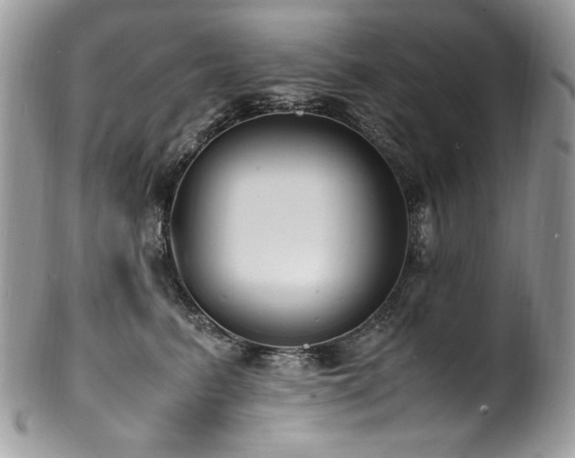 X0000100850615200806201215