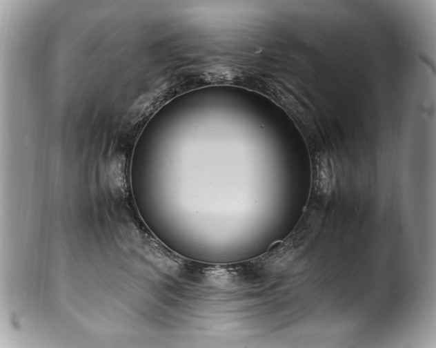 X0000100850616200806201215