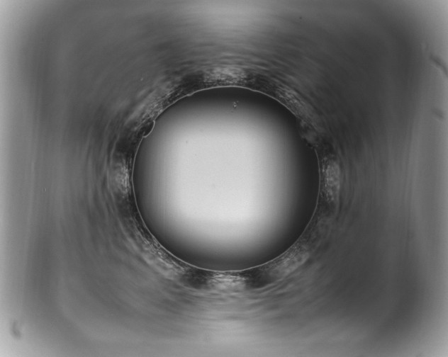 X0000100850617200806201215