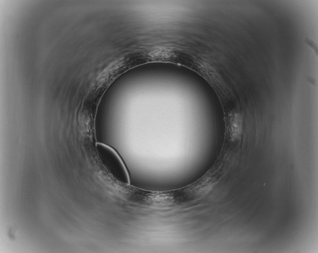 X0000100850619200806201215