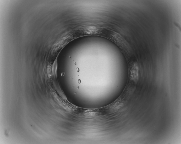 X0000100850620200806201215