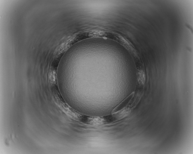 X0000100850621200806201215